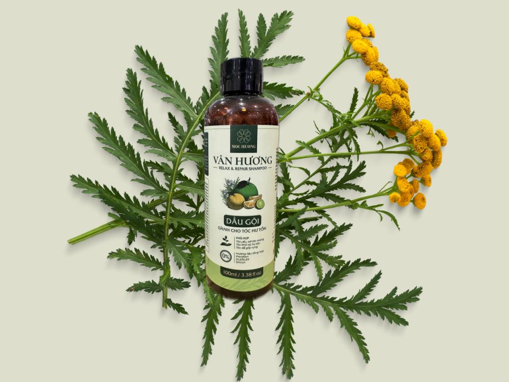 Cách sử dụng hiệu quả